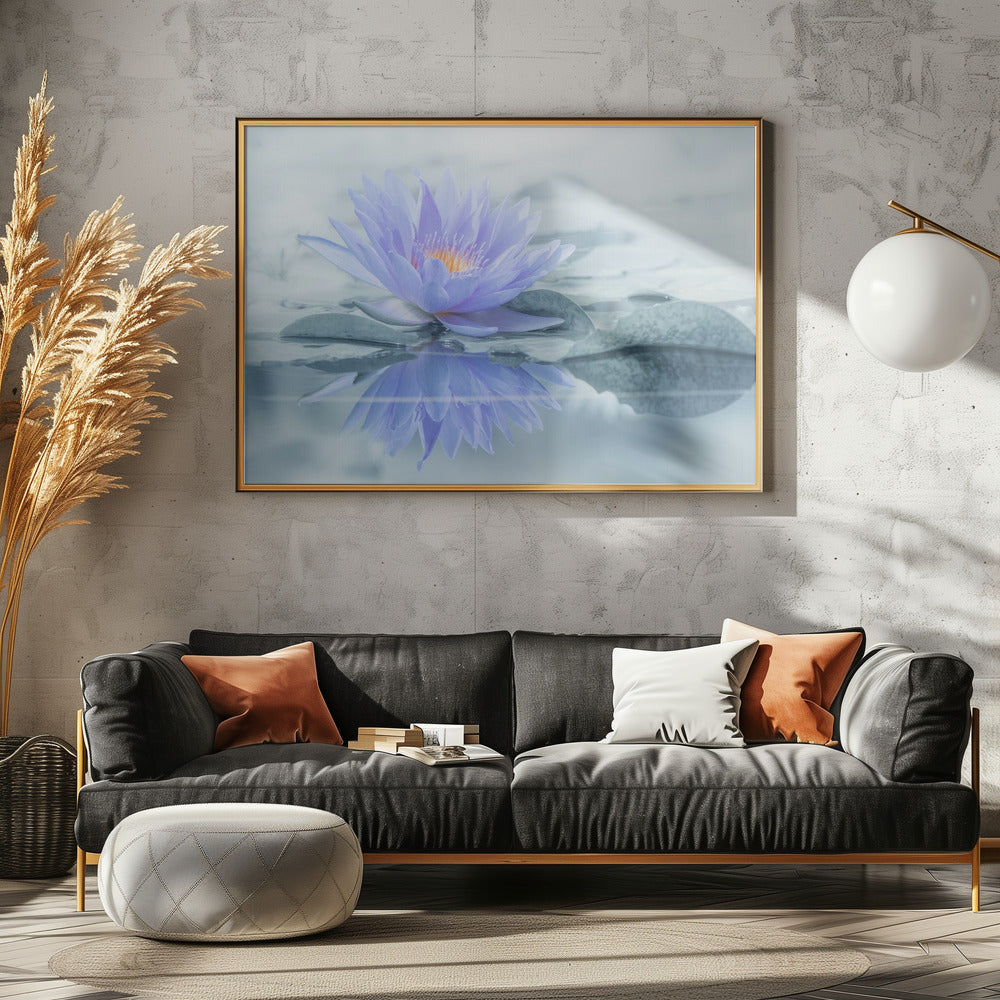 Reflexion | Poster