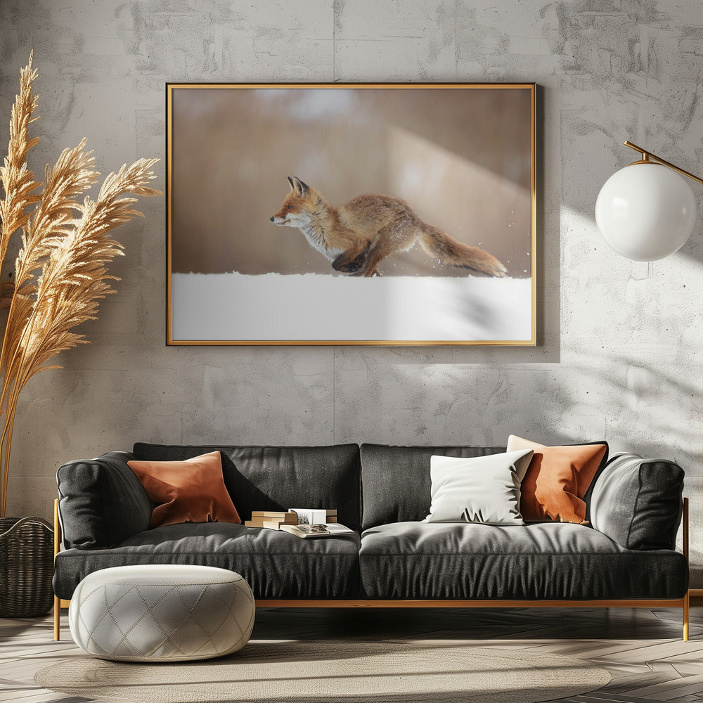 Rotfuchs | Poster
