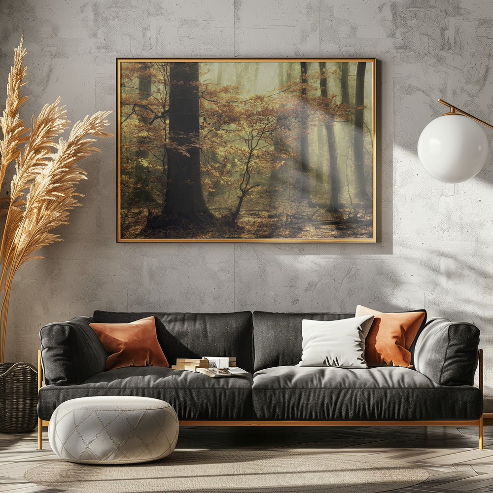 Soft fall | Poster