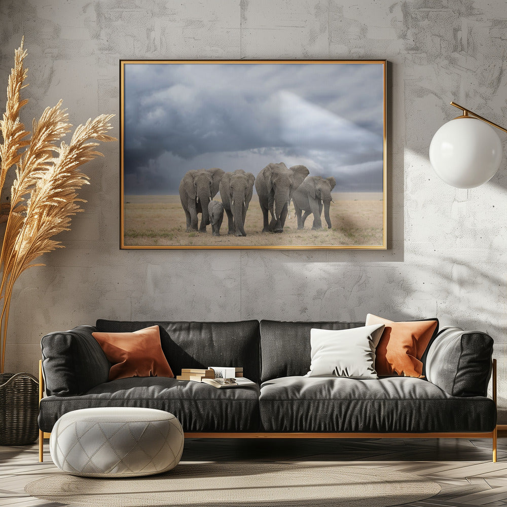 Elefantenspaziergang | Poster