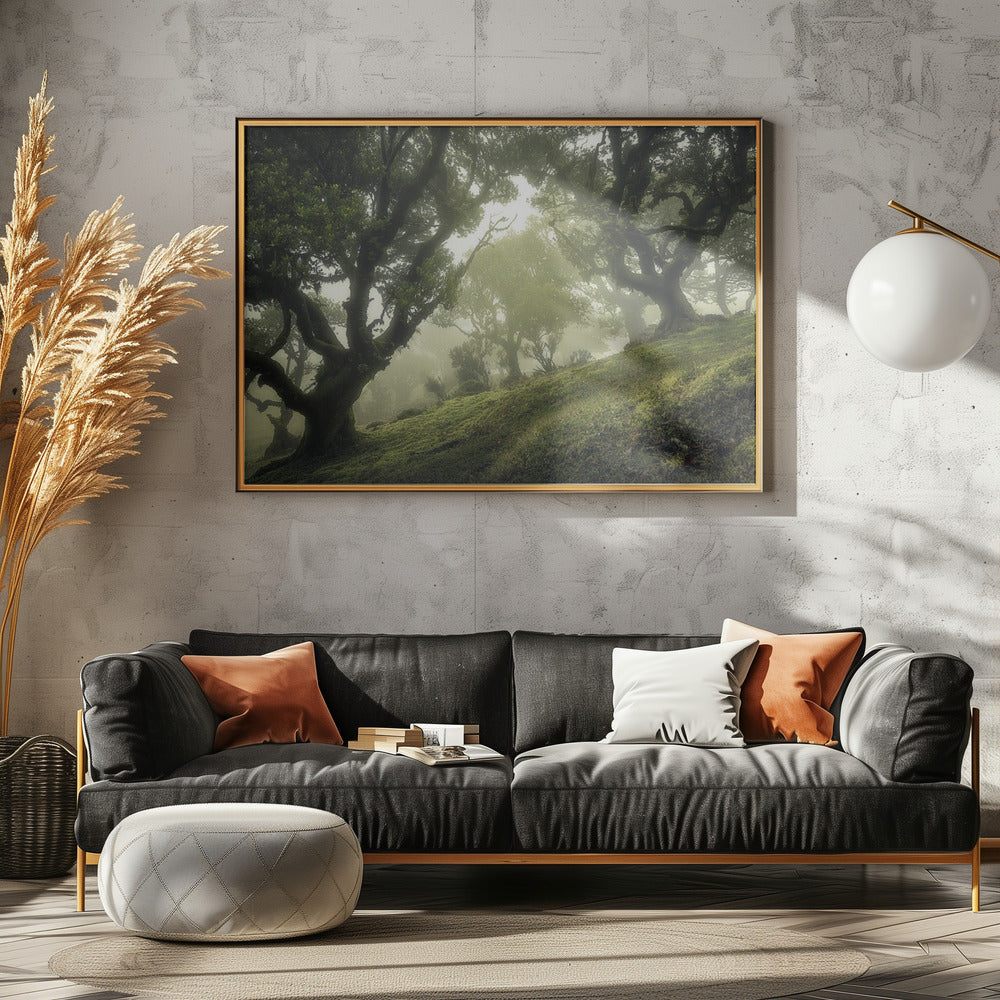 Zauberwald | Leinwand