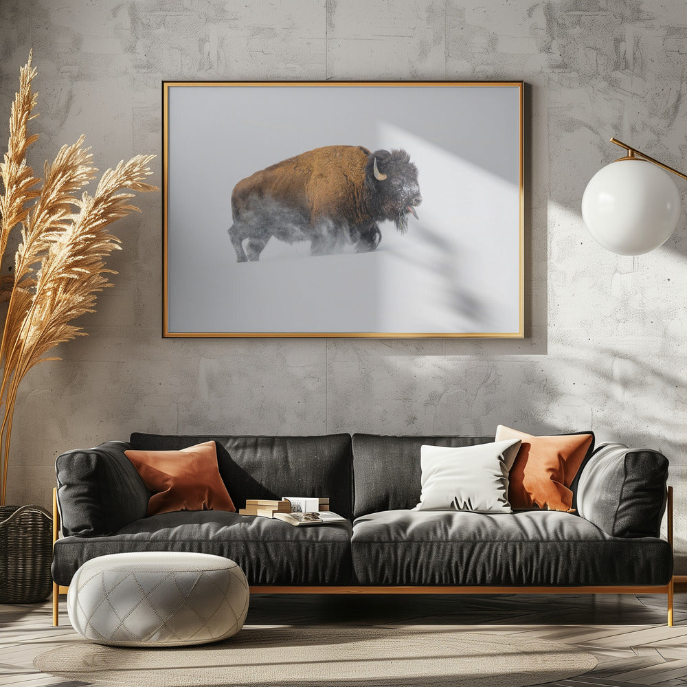 Bison im Schnee | Poster
