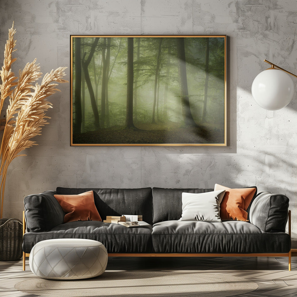 Mysterious Spring Morning | Canvas