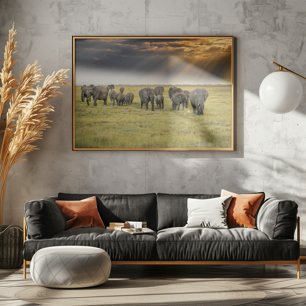 For the love of elephants | Poster