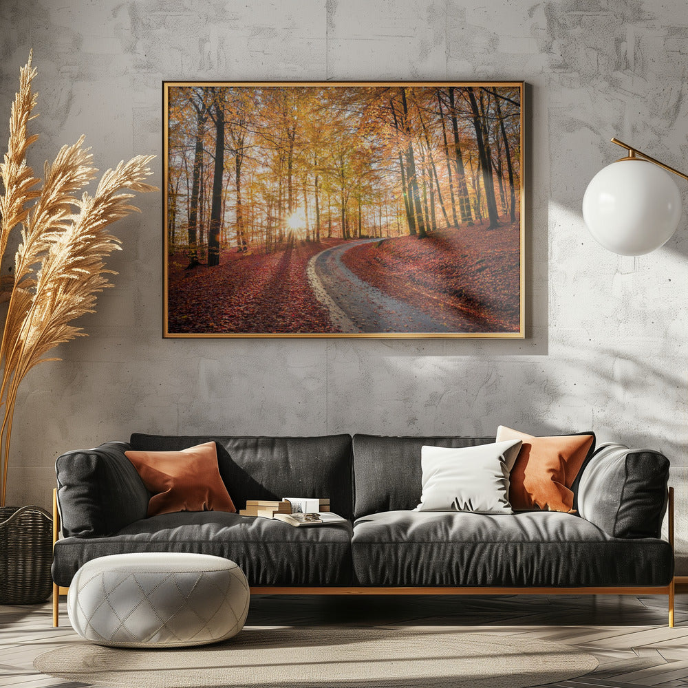 Straße im Söderåsen-Nationalpark, Schweden | Leinwand