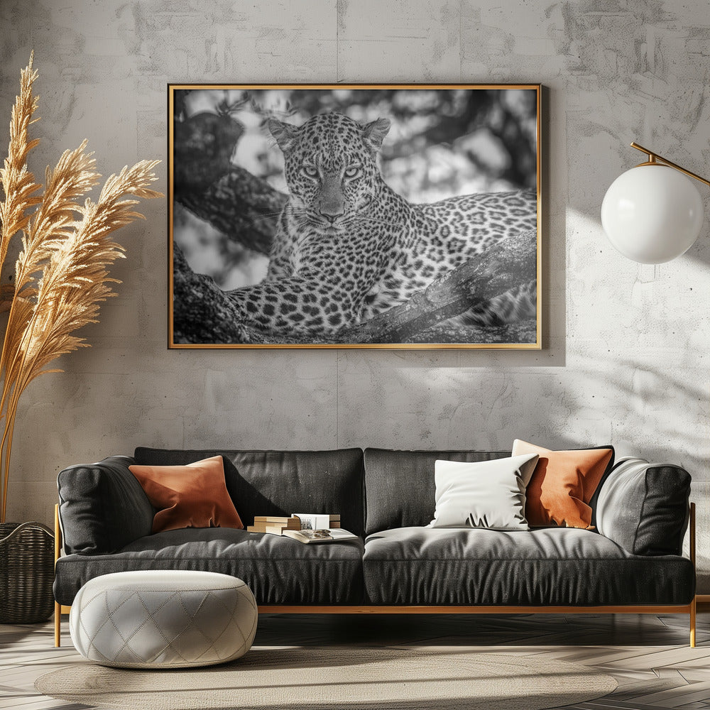 Monochrome Schönheit | Leinwand