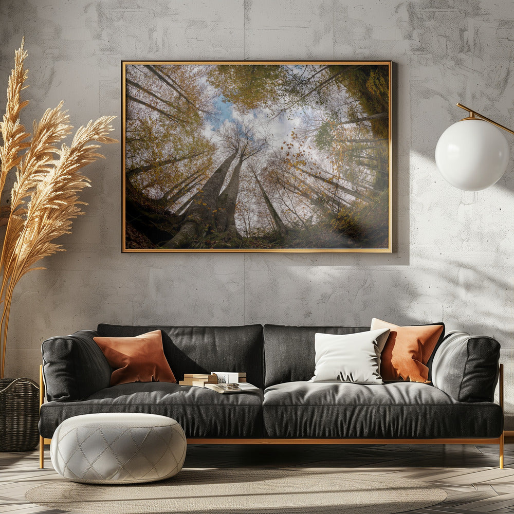 Wald | Poster