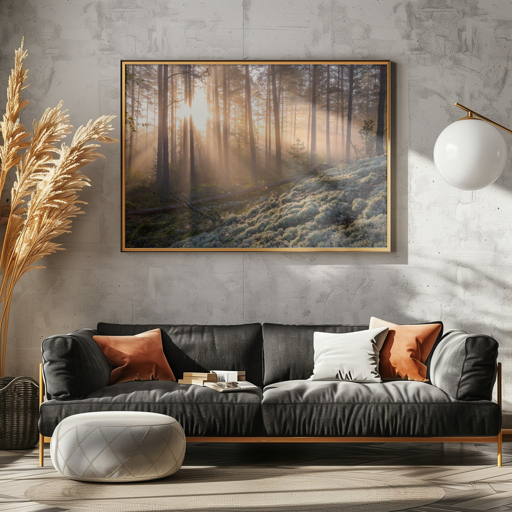 Nebel im Wald mit weißem Moos im Vordergrund | Poster