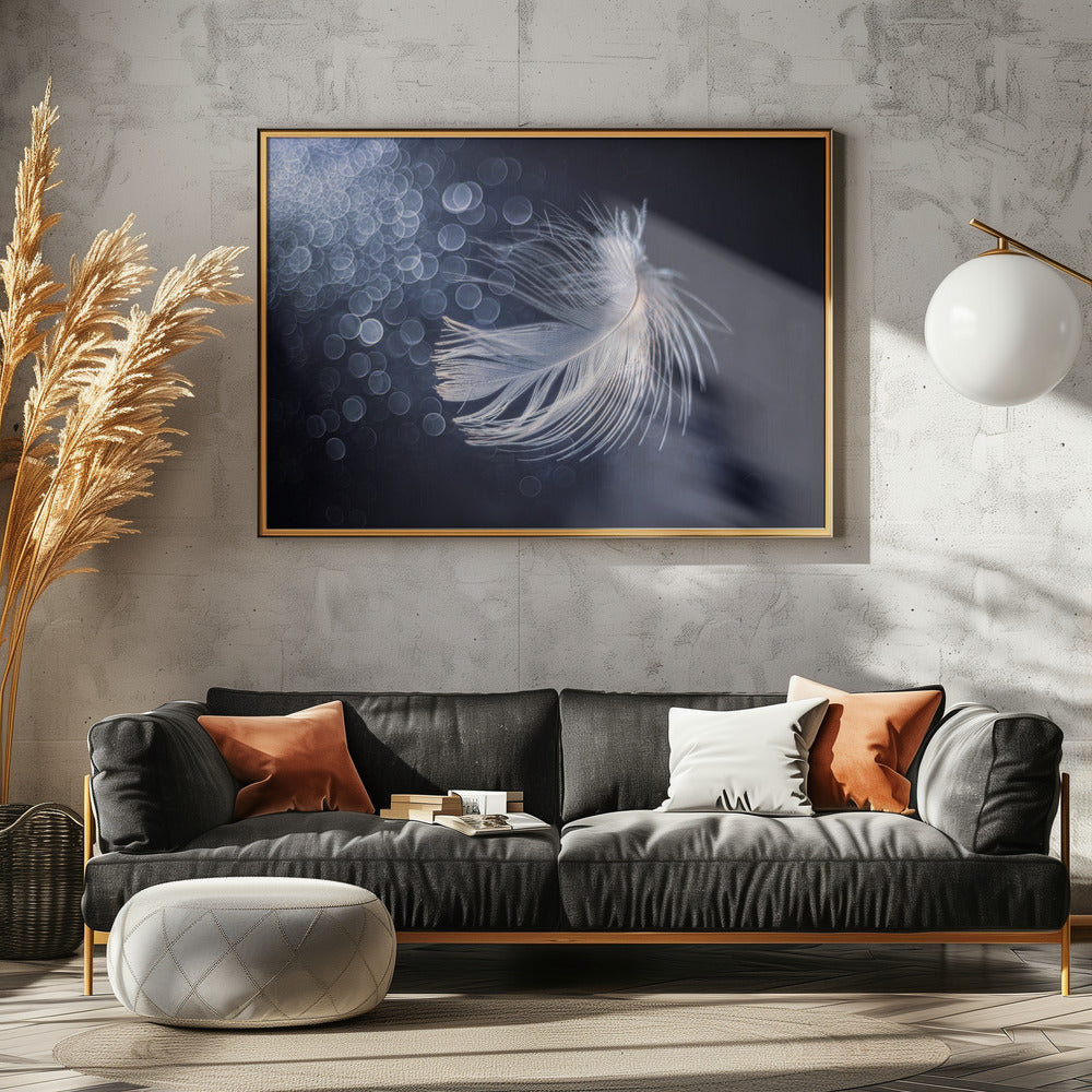 Placidity | Canvas