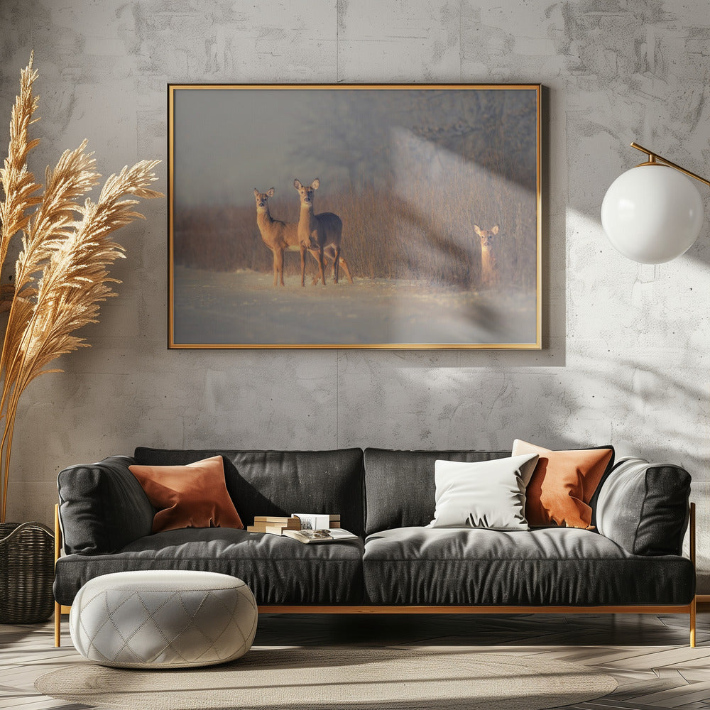 Drei Hirsche | Leinwand