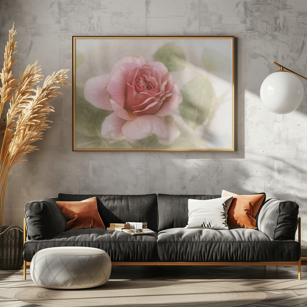 smooth rose | Poster