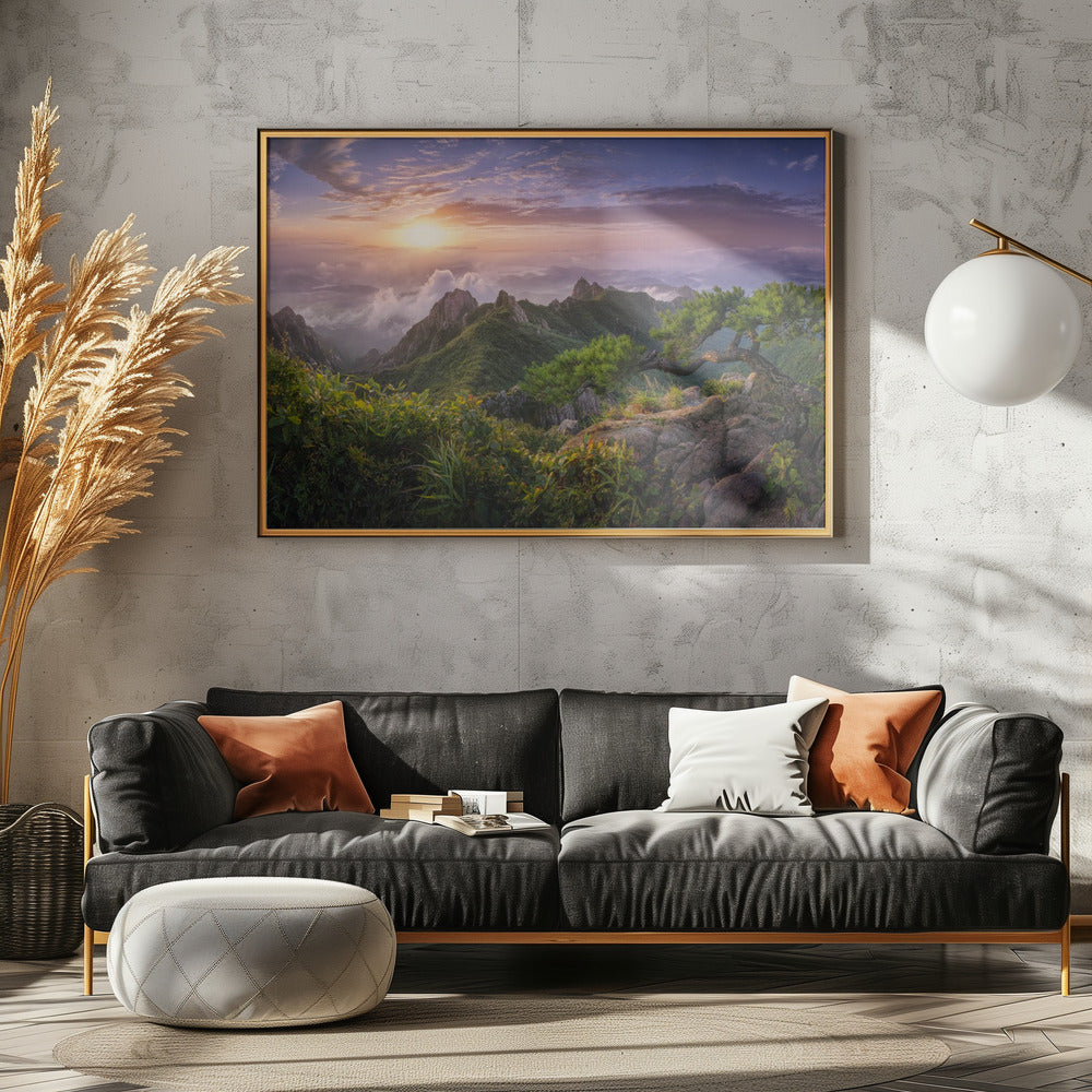 Kiefer auf dem Felsen | Poster