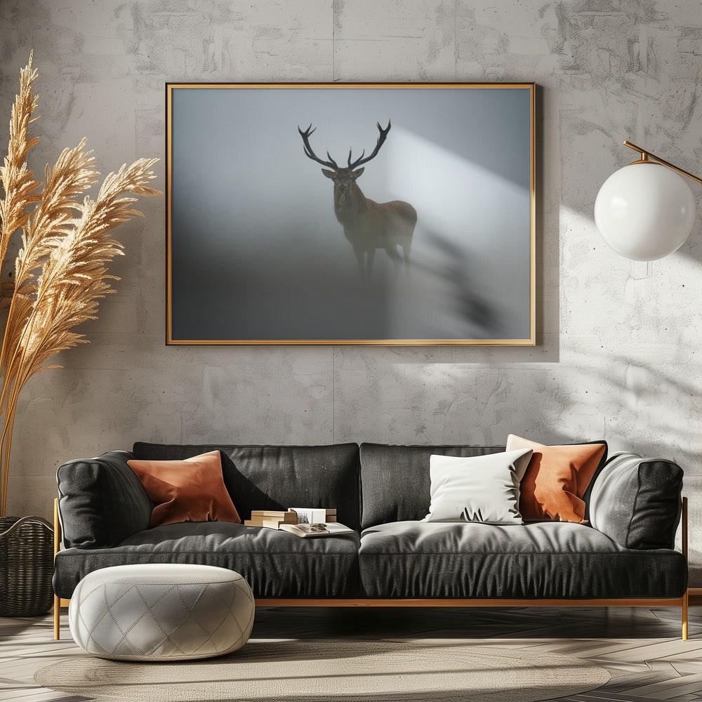 Ephemerality | Canvas