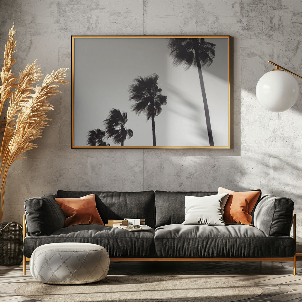 Palme_004 | Leinwand
