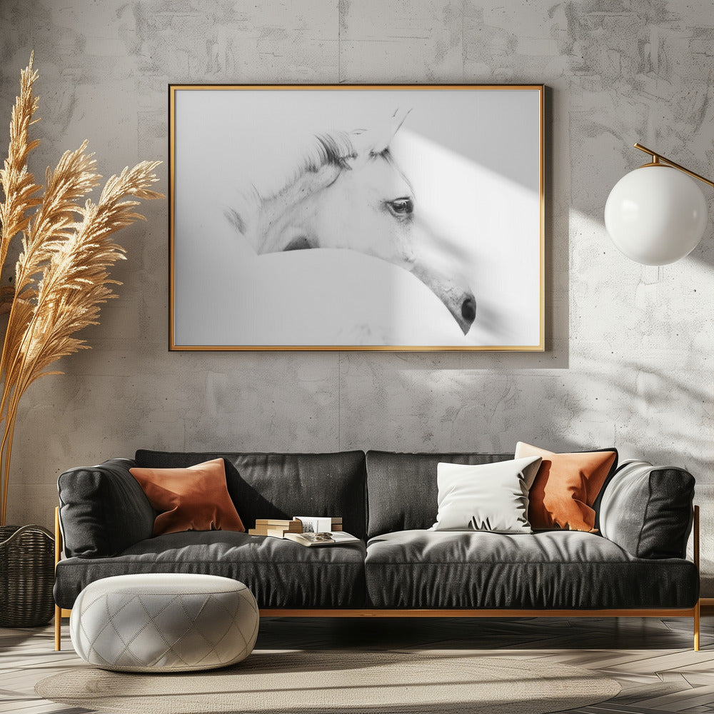 Pferd und Minimalismus | Leinwand