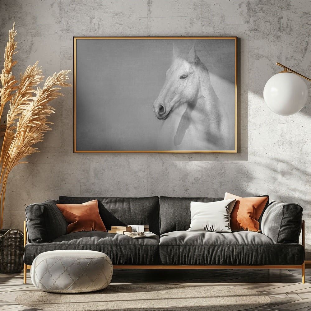 The Grey Horse | Canvas