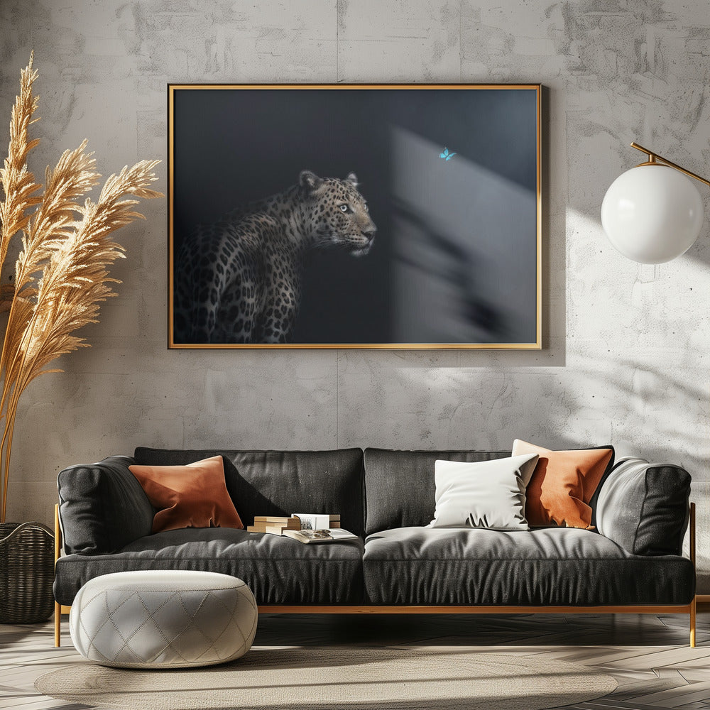 Imagination | Canvas