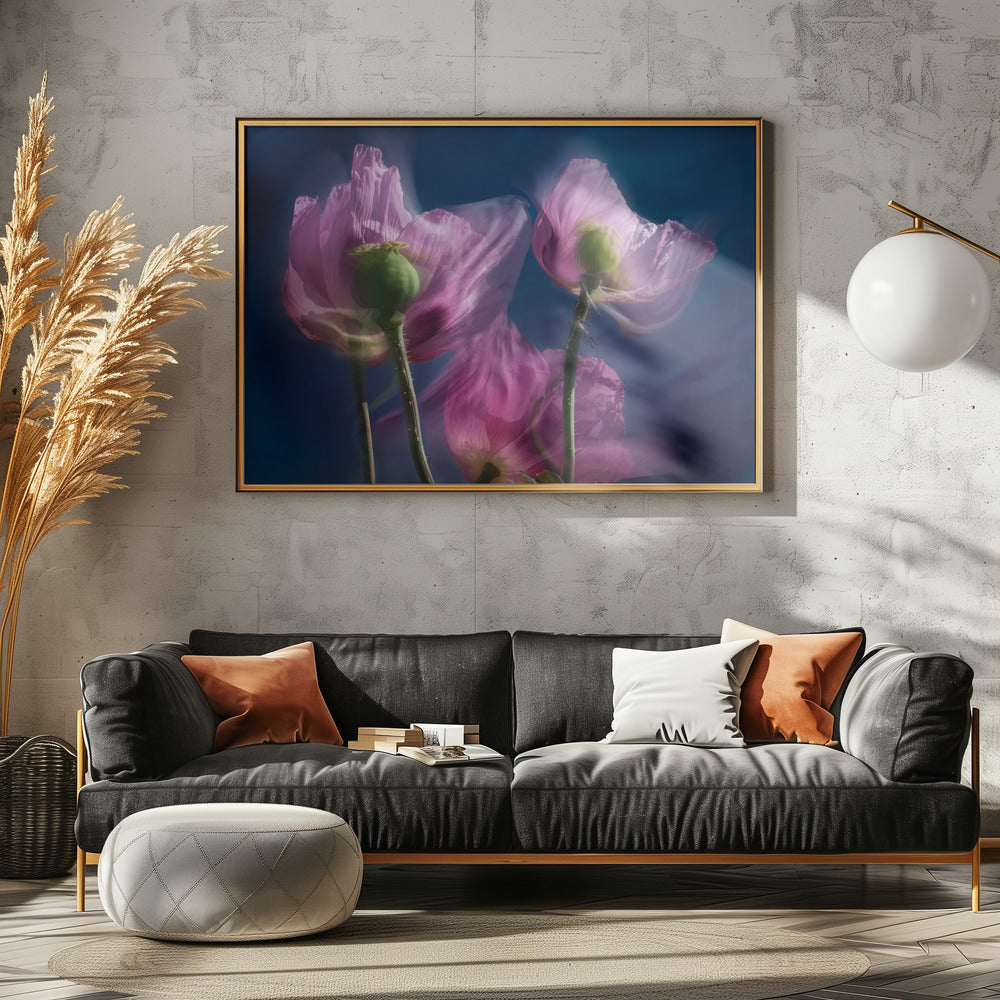 Mohnblumen am Wegesrand | Leinwand