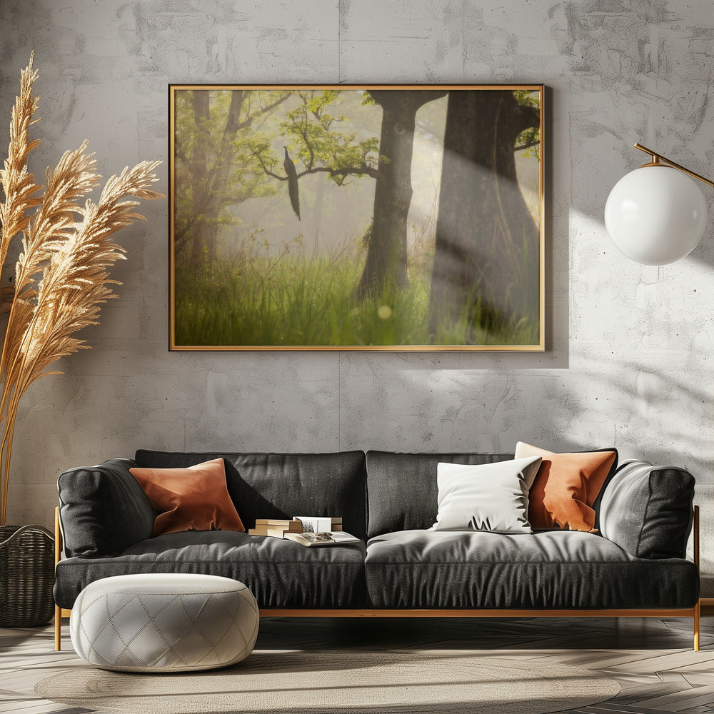 Peacock | Canvas