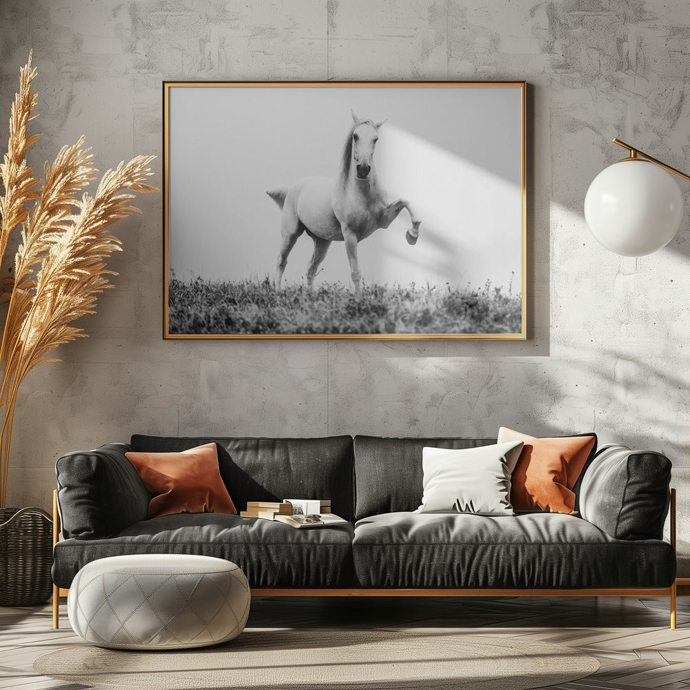 a short story about white beauty | Canvas