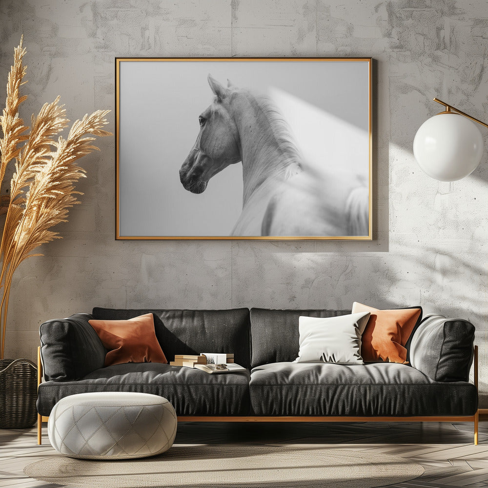 a short story about a shorn horse | Canvas
