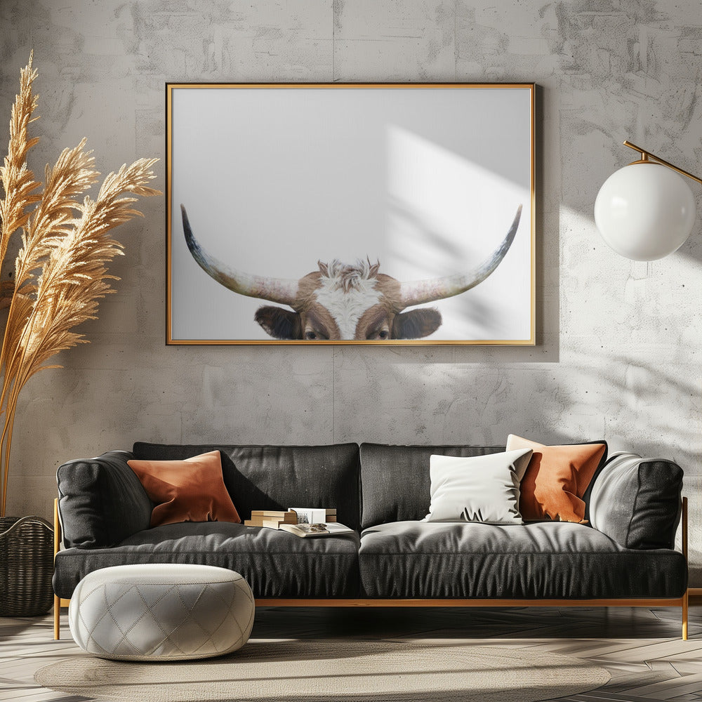 Peeking Longhorn Cow | Poster