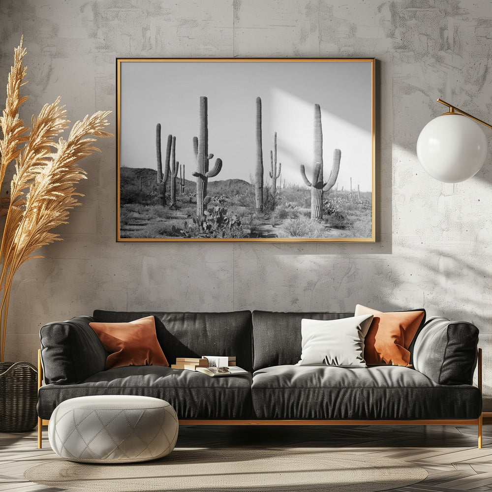 Grey Cactus Land | Canvas