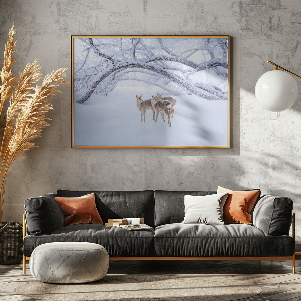 Deers' Walk in Snow | Canvas