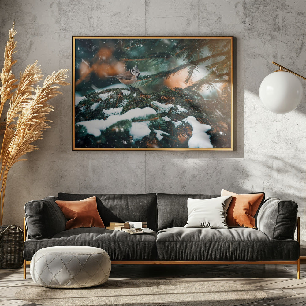 Punky | Canvas