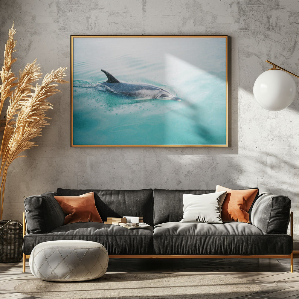 Delfin NZ Northern | Leinwand