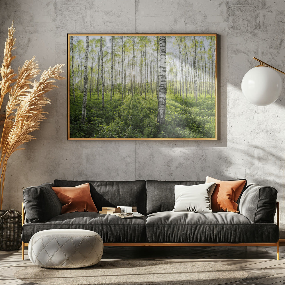 Spring in the Birch Forest | Poster