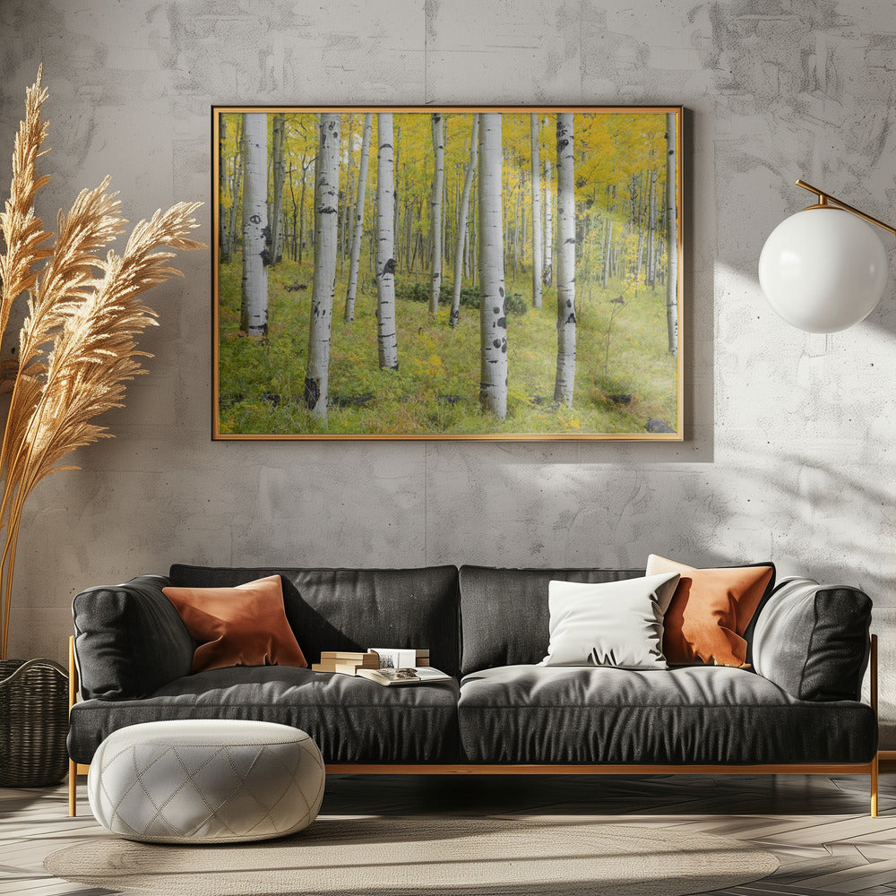 Gelbe Birken | Leinwand