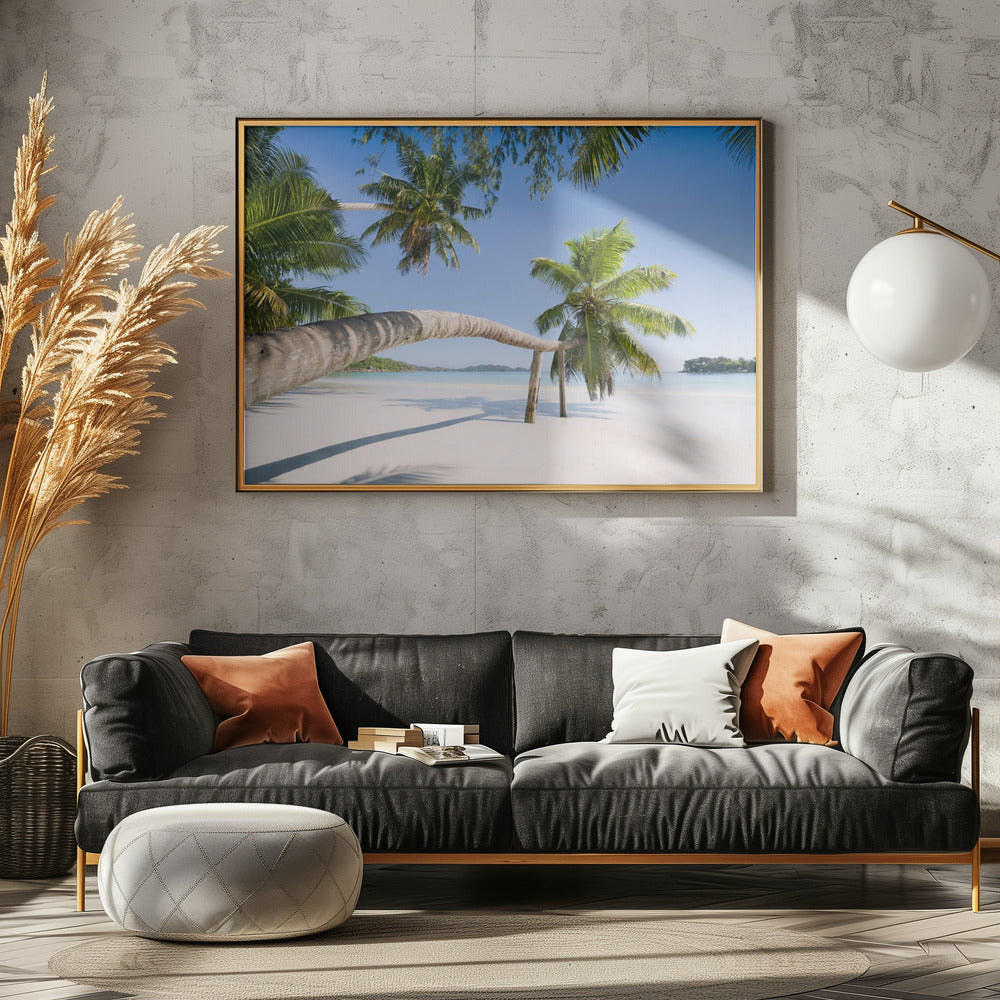 Tropische Palme | Poster