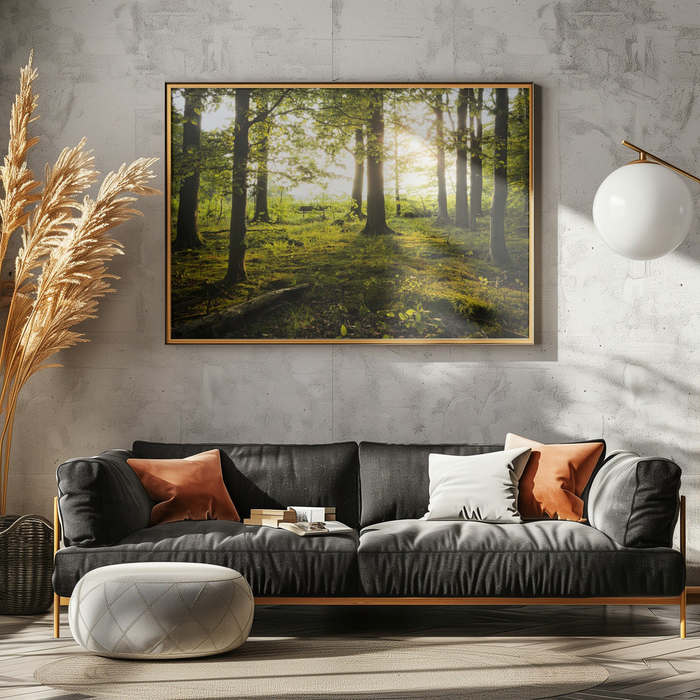 Sommer im Wald | Leinwand