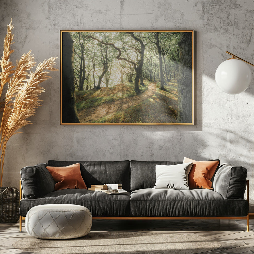 Magisches Buchenholz | Leinwand