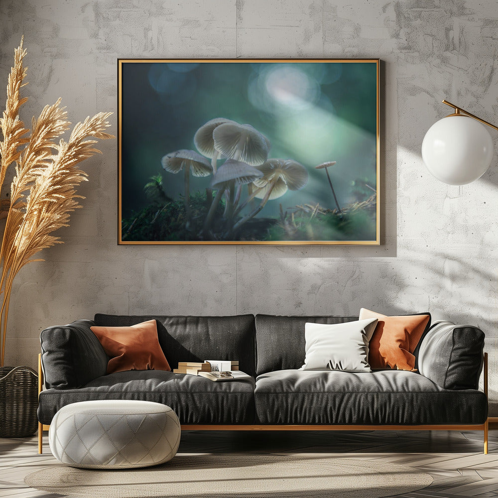 Forest Dreams | Poster