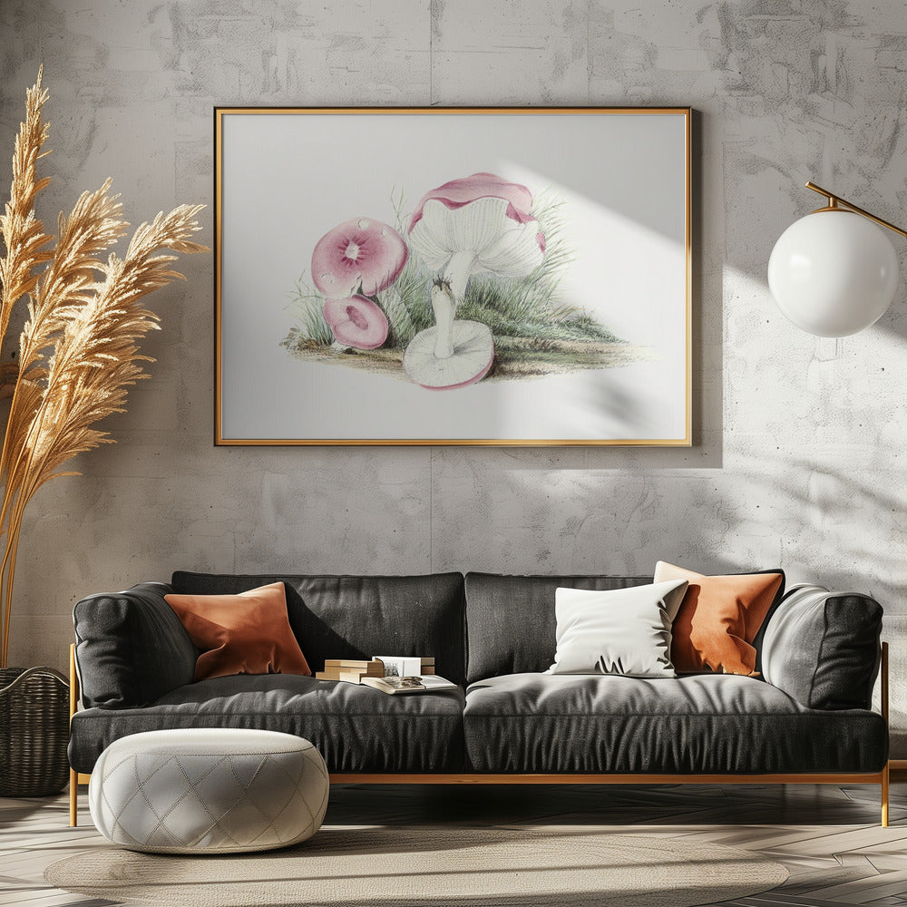 Vintage Russula Emetica Mushroom | Canvas