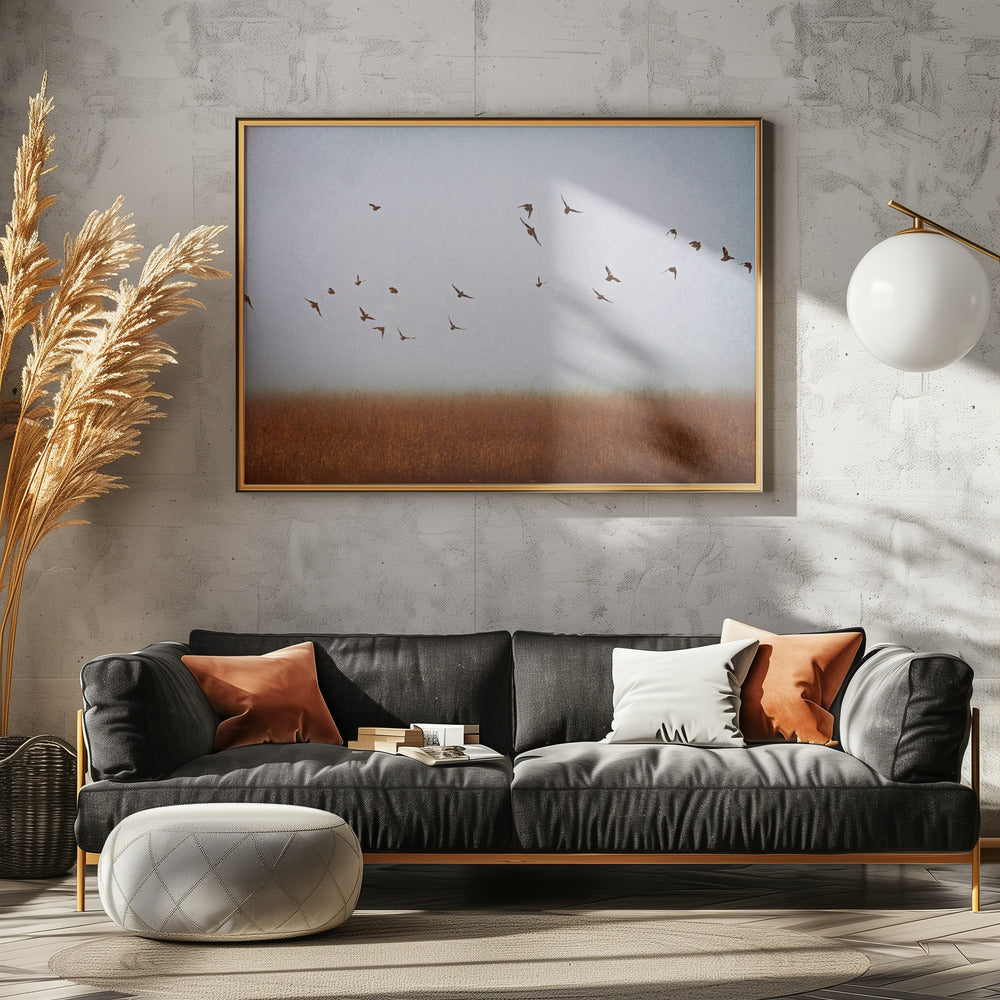 freedom | Canvas