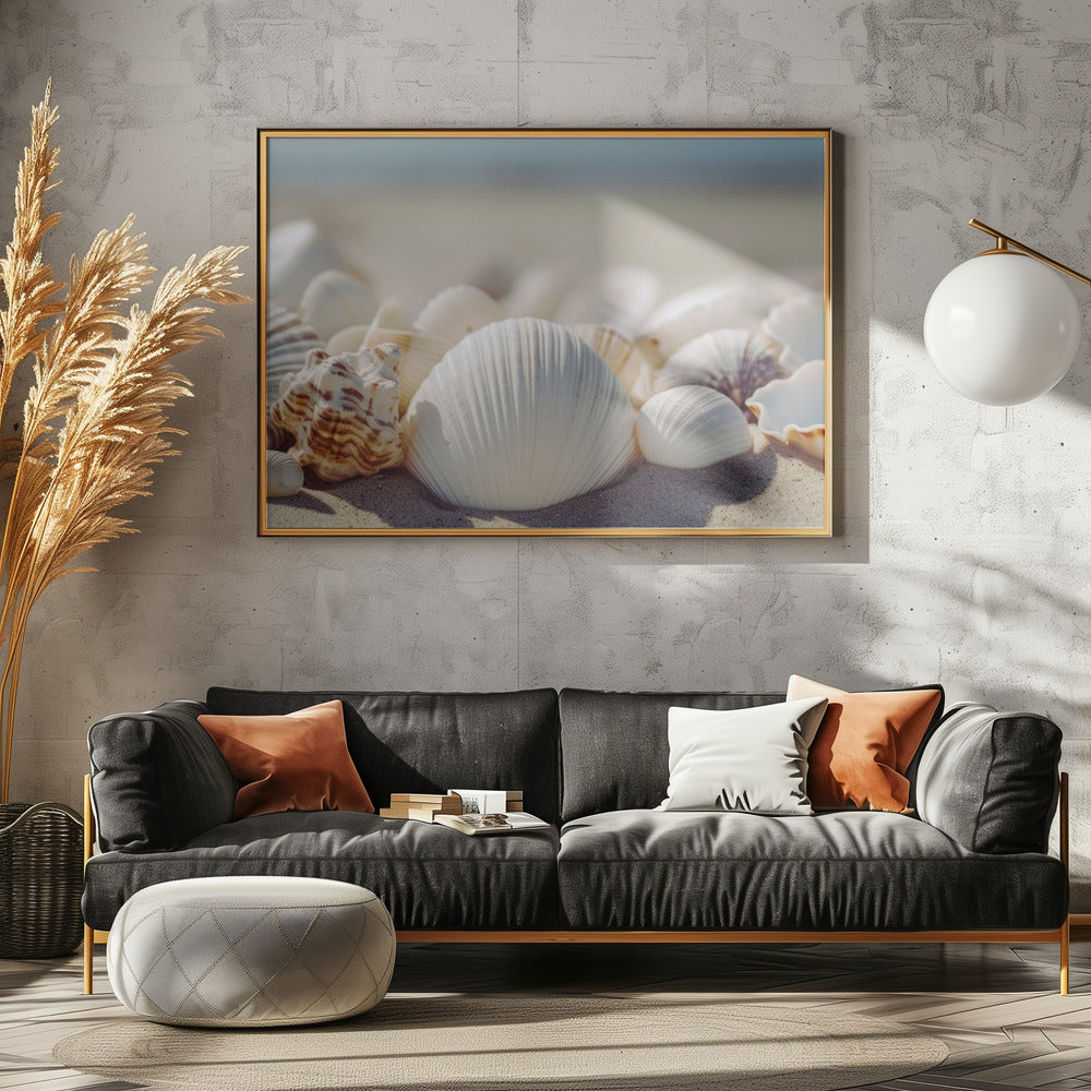 Muscheln am Meer | Poster