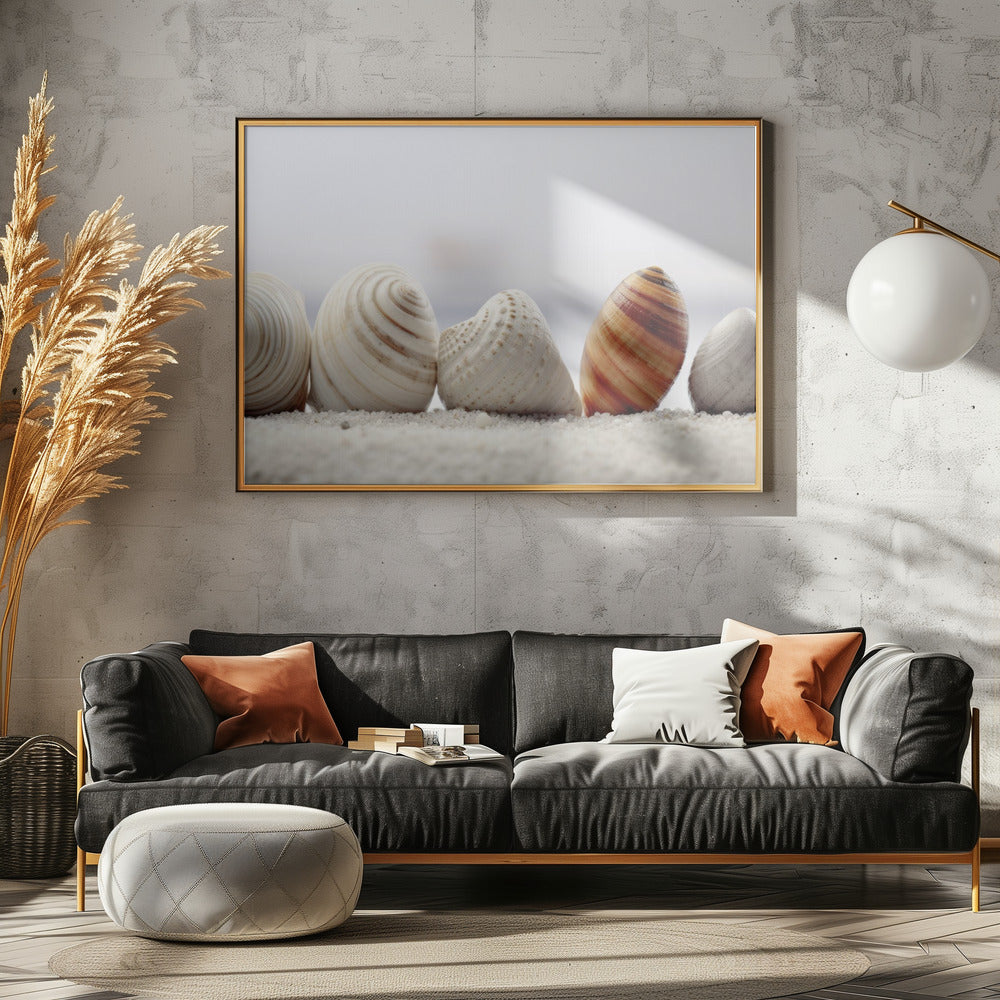 Muschelsymphonie | Leinwand