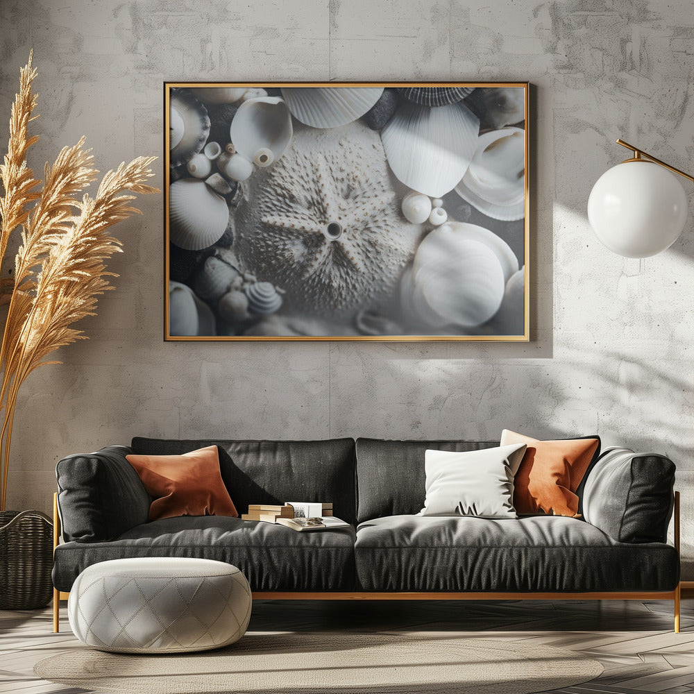 Muschelsymphonie | Poster