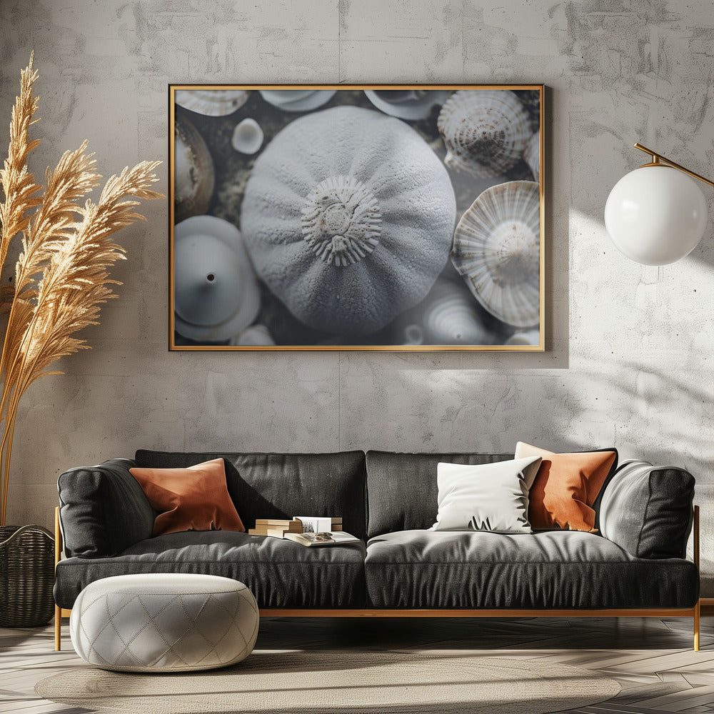 Muschelsymphonie | Leinwand