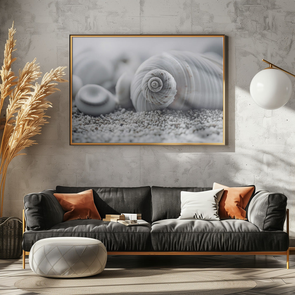 Muschel-Gelassenheit | Poster