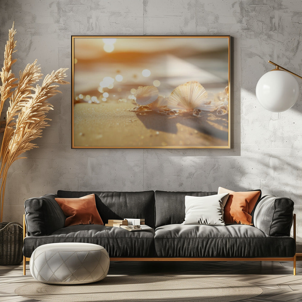 Sonnenbeschienene Muscheln | Leinwand