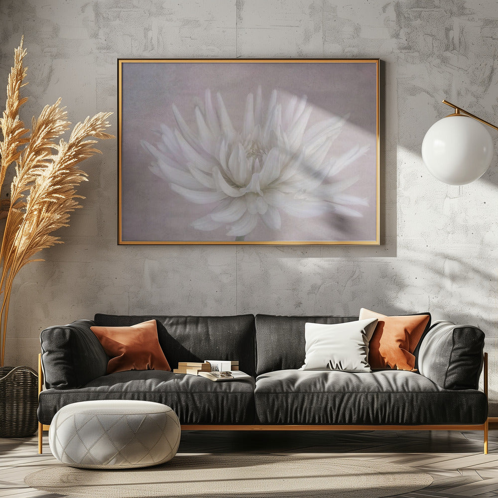 White | Poster