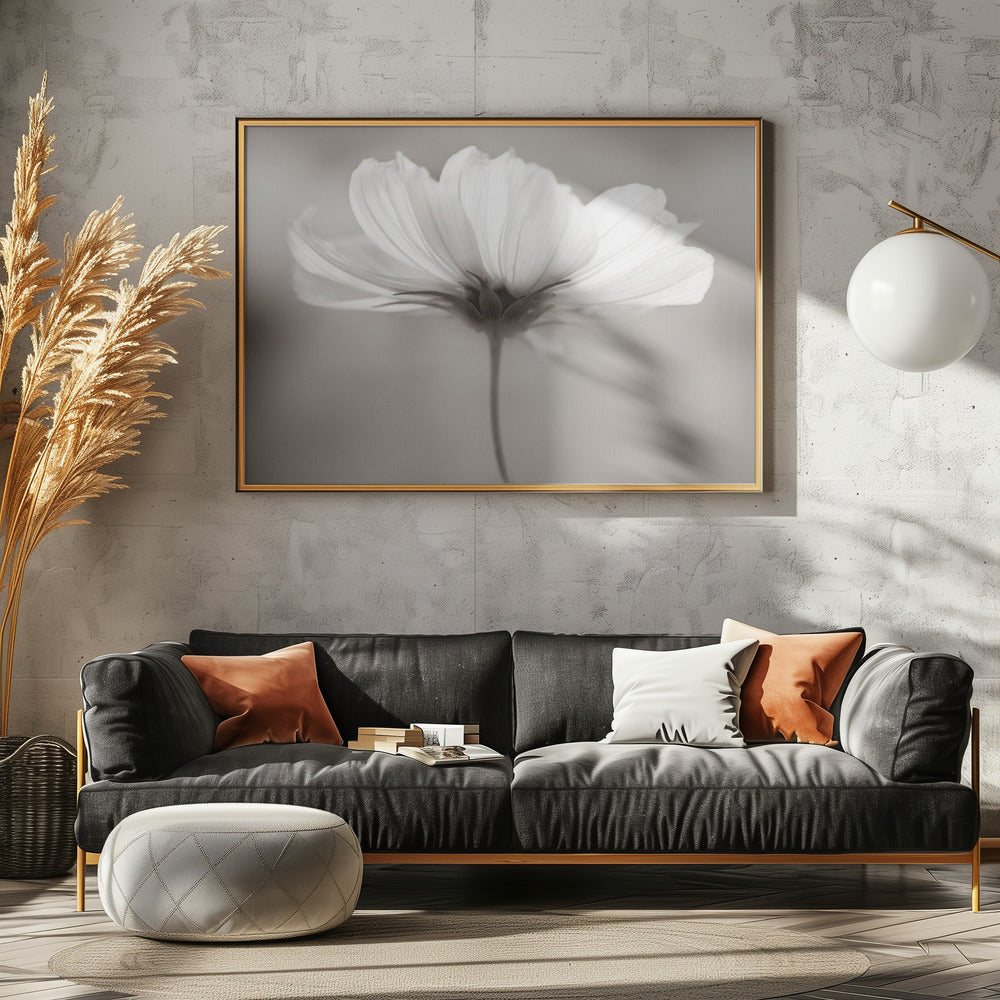 Cosmos | Canvas