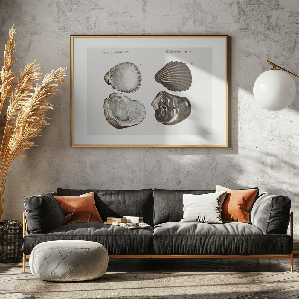 Sealife III | Canvas