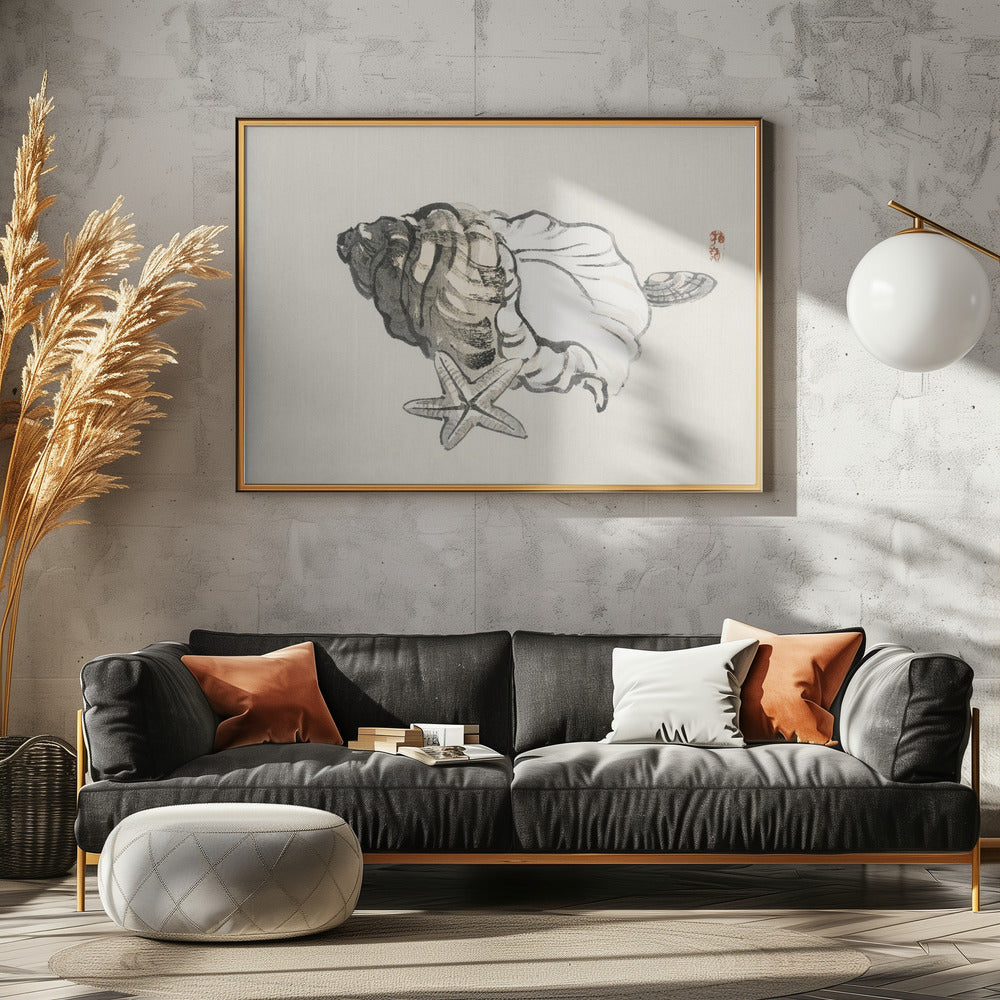 Seestern und Muschel | Leinwand