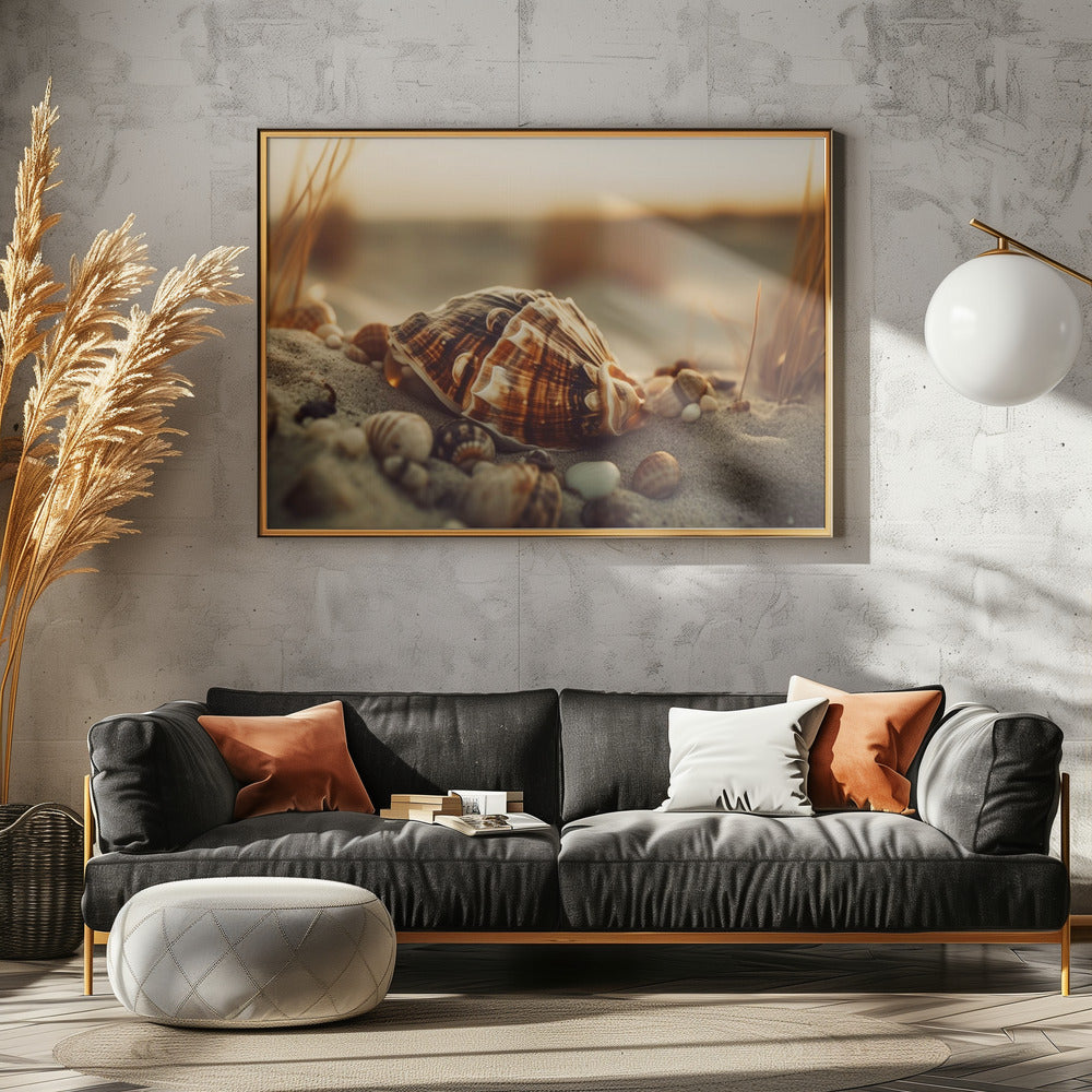 Muscheln bei Sonnenuntergang | Poster