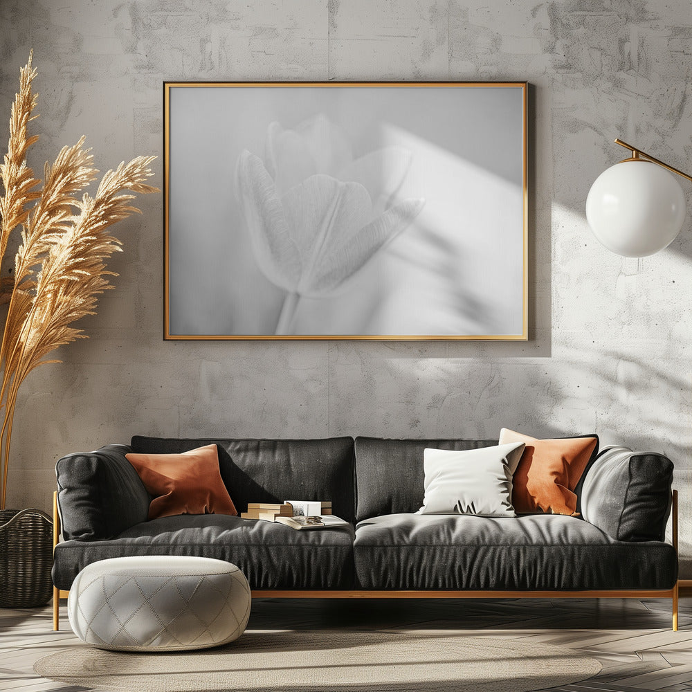 Soft | Canvas